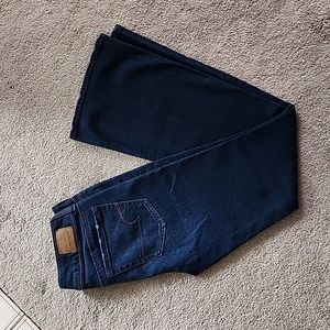 AE Dark Wash Flare Jeans Size 2 Short Artist Flare